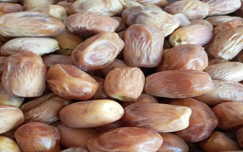 قیمت خرما زاهدی تازه + خرید باور نکردنی